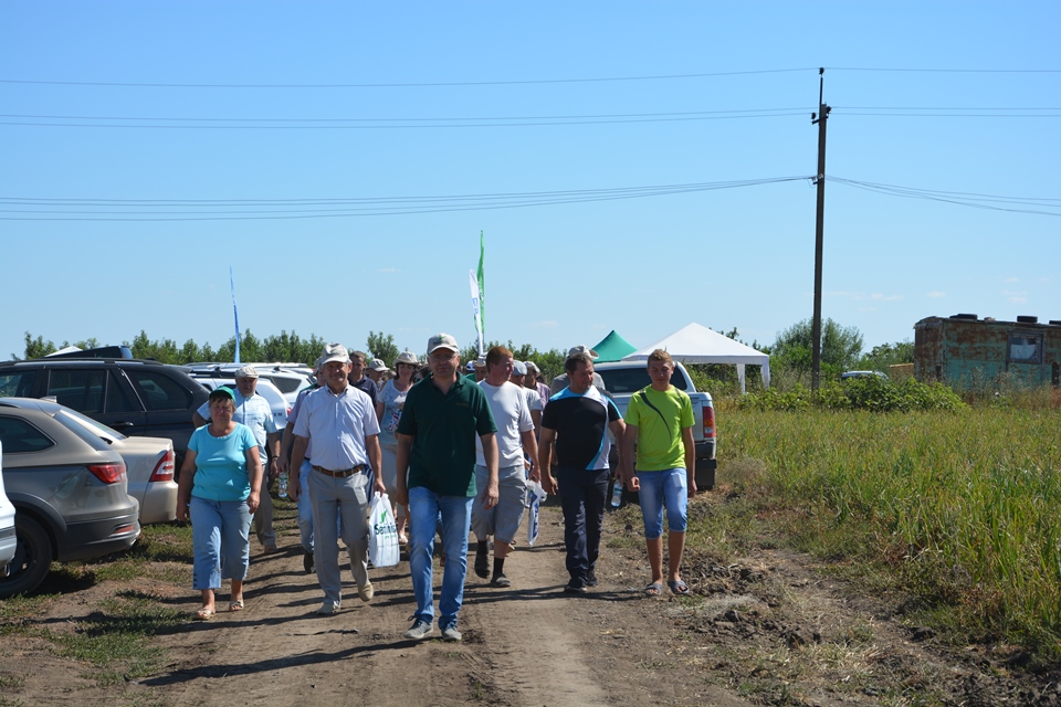 День Поля у м. Одеса (05.08.2016 р.)