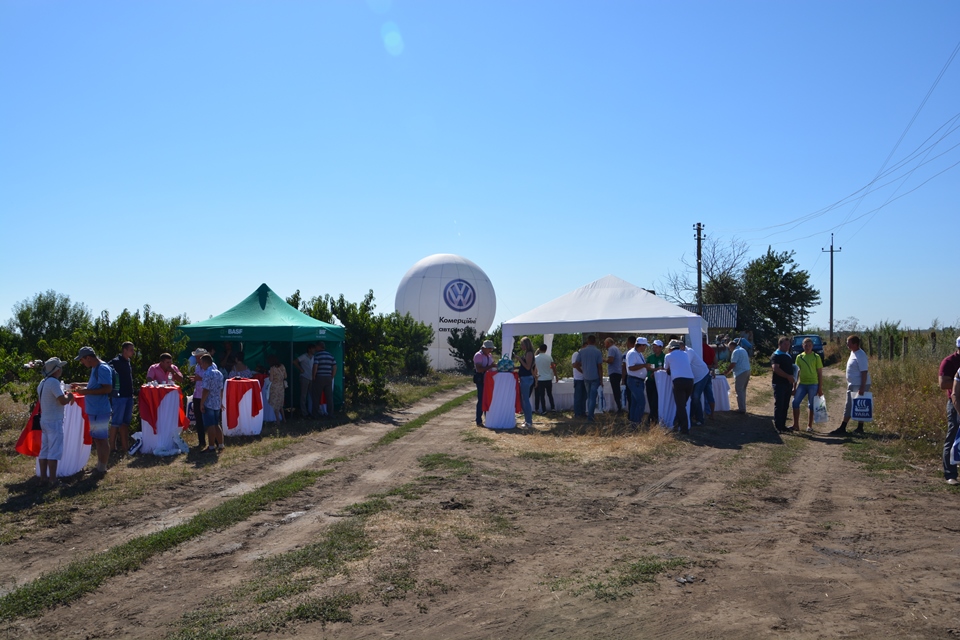 День Поля у м. Одеса (05.08.2016 р.)